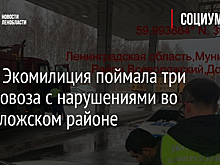 Фото: Экомилиция поймала три мусоровоза с нарушениями во Всеволожском районе