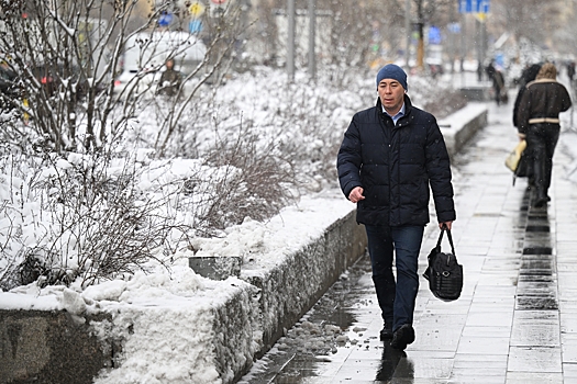 Сформировавшийся в Москве снежный покров назвали временным