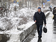 Сформировавшийся в Москве снежный покров назвали временным