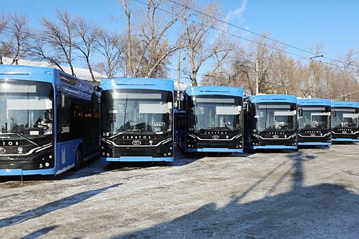 Володин рассказал об обновлении городского транспорта в Саратове