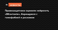 Правозащитники оценили нейросеть «ВКонтакте», борющуюся с гомофобией и расизмом