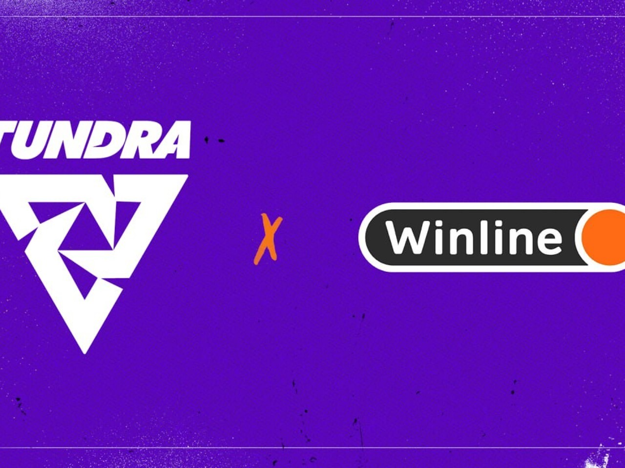 Winline и Tundra Esports заключили соглашение о сотрудничестве -  Рамблер/новости