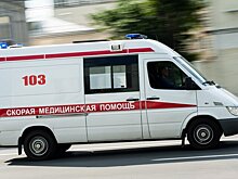 Два человека погибли и десять пострадали в ДТП с микроавтобусом в Тамбовской области