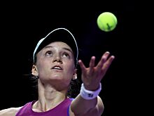 Елена Рыбакина поделилась новогодним фото сборной Казахстана