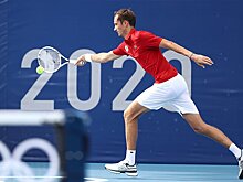 В Госдуме призвали отстранить журналиста за провокацию теннисиста Медведева