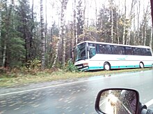 Под Калининградом пассажирский автобус врезался в дерево