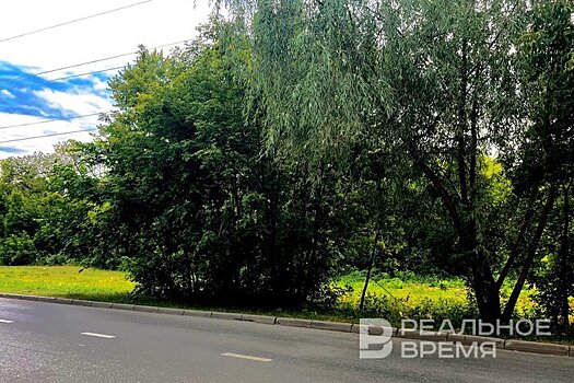 В Зеленодольском районе Татарстана из-за падения деревьев пострадали два автомобиля