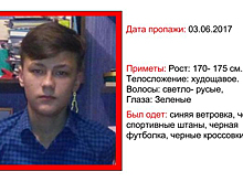 Школьник ушел из дома 10 дней назад и не вернулся