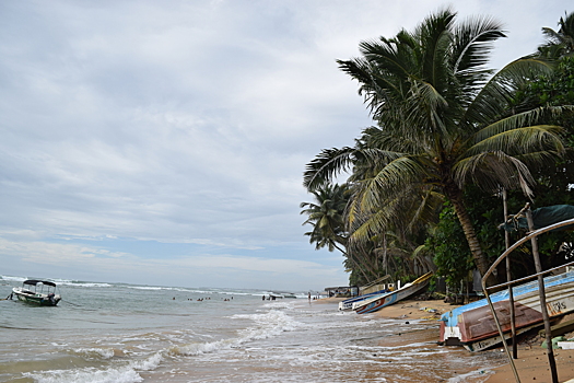 Шри-Ланку в 2025 году посетили свыше 111 тысяч россиян