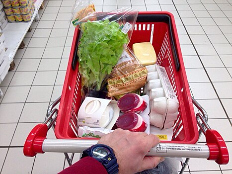 Эксперт: Россия может обеспечить себя качественными продуктами