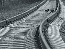 Большое кольцо МЖД в Новой Москве будет модернизировано к 2035 году