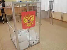 Спалившая избирательную урну в Иваново гражданка лишилась квартиры