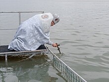 Шесть мест для крещенских купаний подготовят в Новороссийске