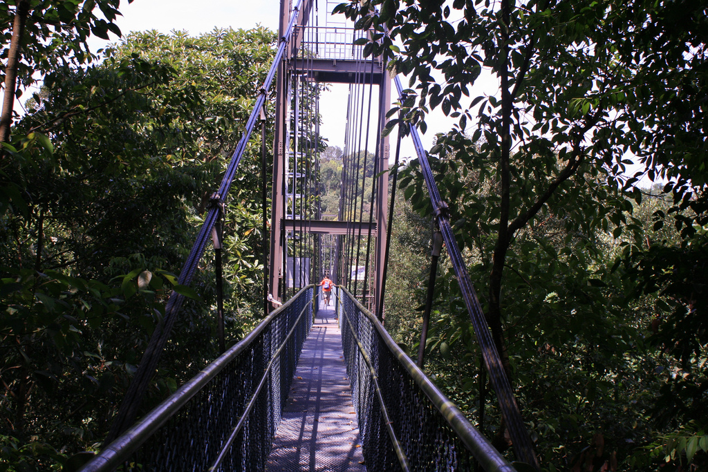 Природный парк Макричи, Сингапур, Азия