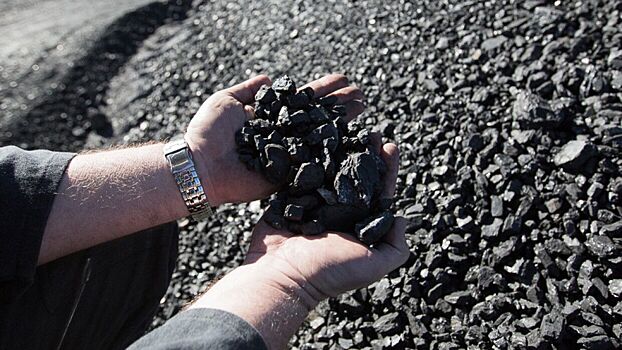Поляки разочарованы неспособностью властей отказаться от угля из России