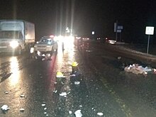 Два человека погибли на трассе в Завьяловском районе Удмуртии
