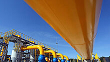 В Eurogas отметили необходимость использования возобновляемого газа
