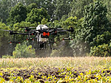 ФСИН планирует использовать сети для защиты объектов от дронов