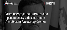 Умер председатель комитета по правопорядку и безопасности Ленобласти Александр Степин