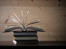 Оренбургская детская библиотека в топе конкурса «Литературный профи»