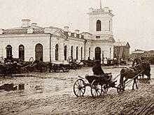 А «бастующим» лошадям уменьшить паек