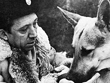 Как Юрий Никулин и пес Дейк подружились на съемках фильма «Ко мне, Мухтар!»
