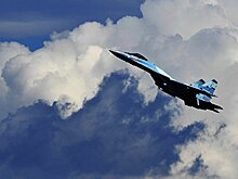 Эксперт рассказал о давлении США на Индонезию по вопросам вооружения