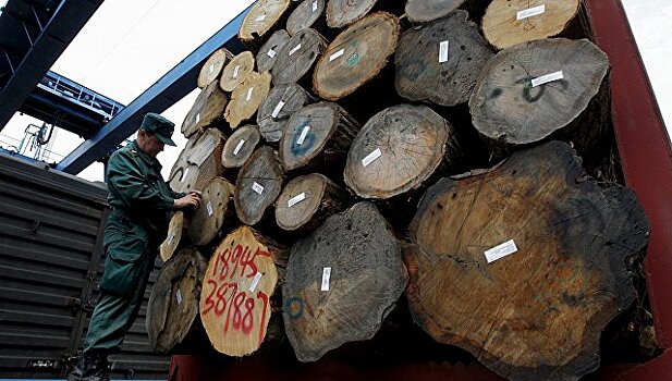 Хабаровский лесопромышленный холдинг на 50% обеспечит будущий ЦБК сырьем