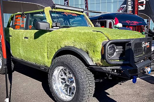 Посмотрите на Ford Bronco, полностью покрытый настоящим мхом