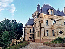 СМИ выяснили, в каком состоянии находится роскошный замок Пугачёвой и Галкина в поселке Грязь
