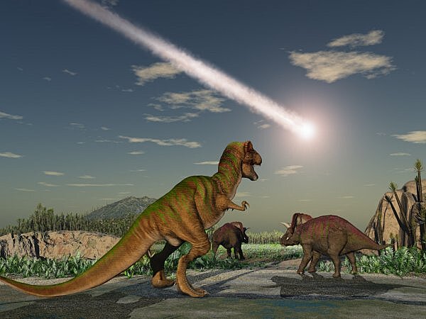 Раскрыта тайна первого массового вымирания в истории Земли