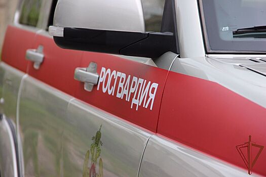 Офицер Росгвардии сдал начальника и признался в распиле 240 млн рублей