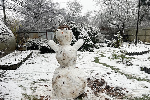 Первый снег в Москве в 2025 году стал одним из самых поздних в XXI веке