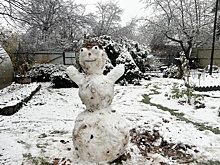 Первый снег в Москве в 2025 году стал одним из самых поздних в XXI веке