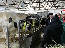 Более 109 миллионов рублей выделили фермерам Удмуртии в рамках «Агростартапа»