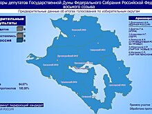 Предварительные результаты выборов депутатов Госдумы VIII созыва
