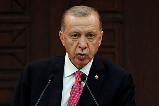 Эрдоган заявил, что Турция ускорит переговорный процесс по вступлению страны в ЕС