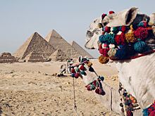 Спрос на путешествия в Египет из Петербурга упал на 30%