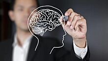 Как заставить мозг результативно работать?