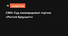 СМИ: Суд ликвидировал партию «Россия будущего»