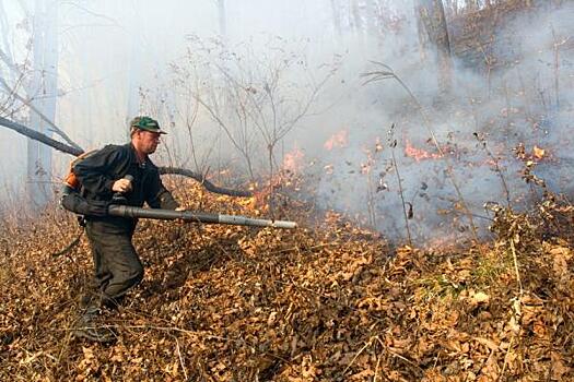 В Хакасии сильный ветер может разжечь лесные пожары. Объявлено штормовое предупреждение