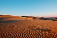 Власти не стали эвакуировать застрявших в пустыне участников Burning Man