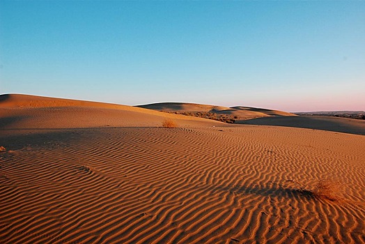 Власти не стали эвакуировать застрявших в пустыне участников Burning Man