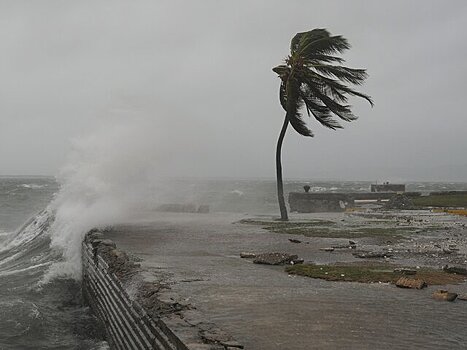 Очевидцы рассказали о разрушениях в эпицентре урагана "Мелисса" на Ямайке