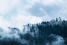 Жители КБР обсуждают видеоролик с живописным синим туманом в горах