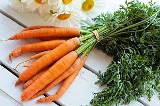 В Омске подорожала морковка на 15 %