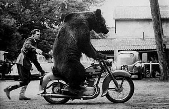 Медведи на улицах и другие самые шокирующих мифы об СССР на Западе