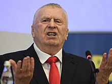 Колхозные рынки: Жириновский назвал способ снизить стоимость "борщевого набора"