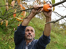 Дачникам назвали необходимые дела на участке до конца сентября