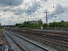 Зерно из Пензенской области вывезли в Турцию, Латвию и Бельгию